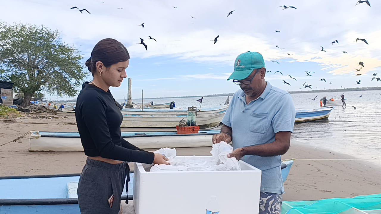 $!Apoya Cosinar a cooperativa de Teacapán con entrega de semillas de ostión