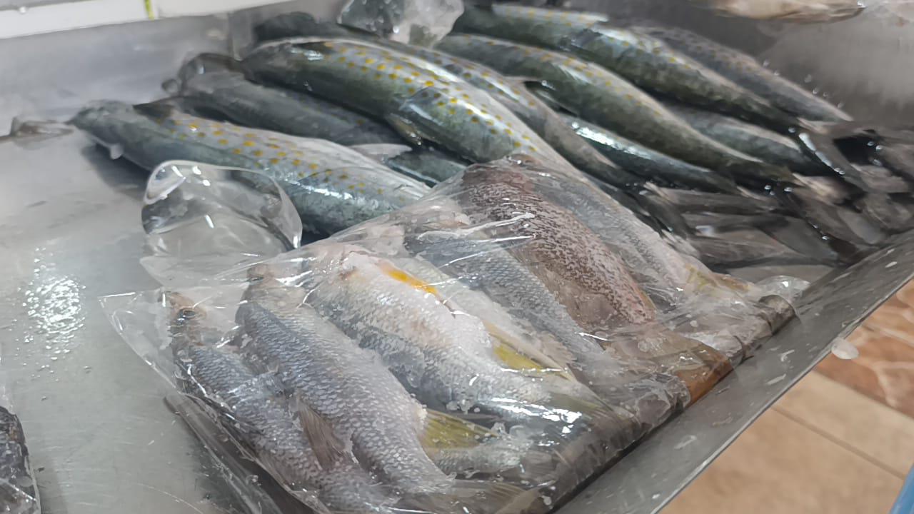 $!Llega la Cuaresma, pero en Escuinapa se tiene poco pescado para ofrecer