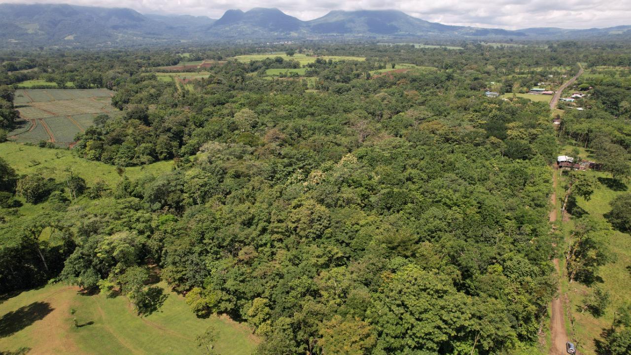 $!El nuevo espacio de vida se ha creado en Costa Rica.