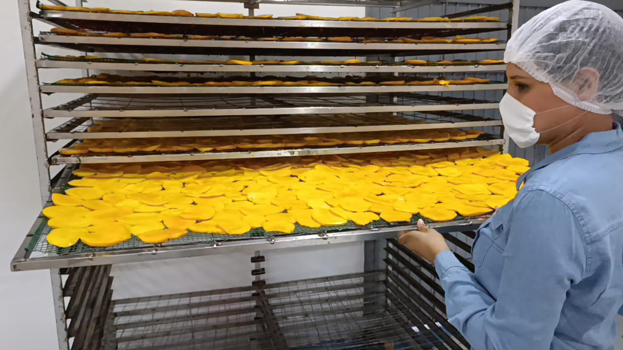 $!Apuestan por la transformación del mango en Escuinapa