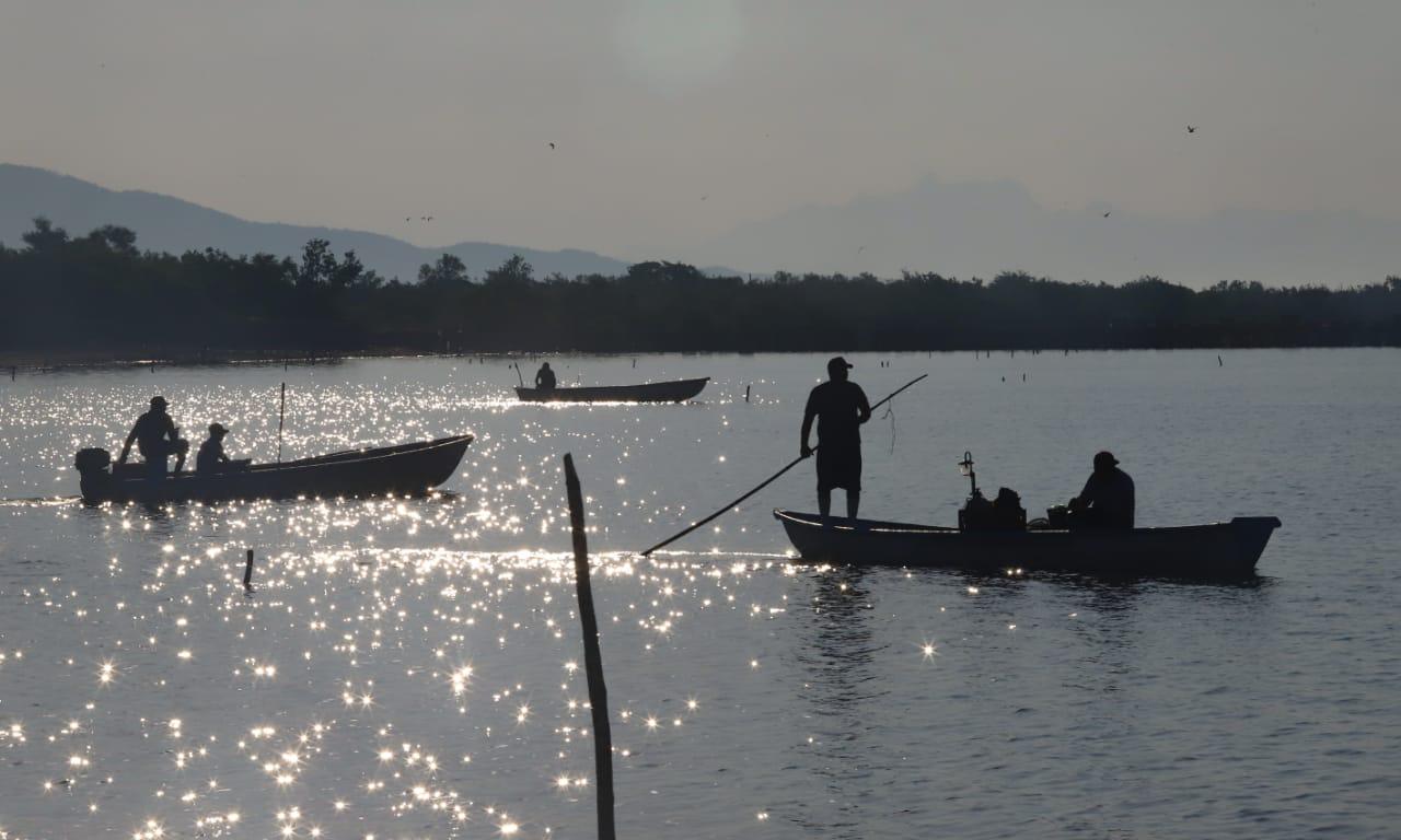 $!Reportan poca captura en el primer día de pesca del camarón