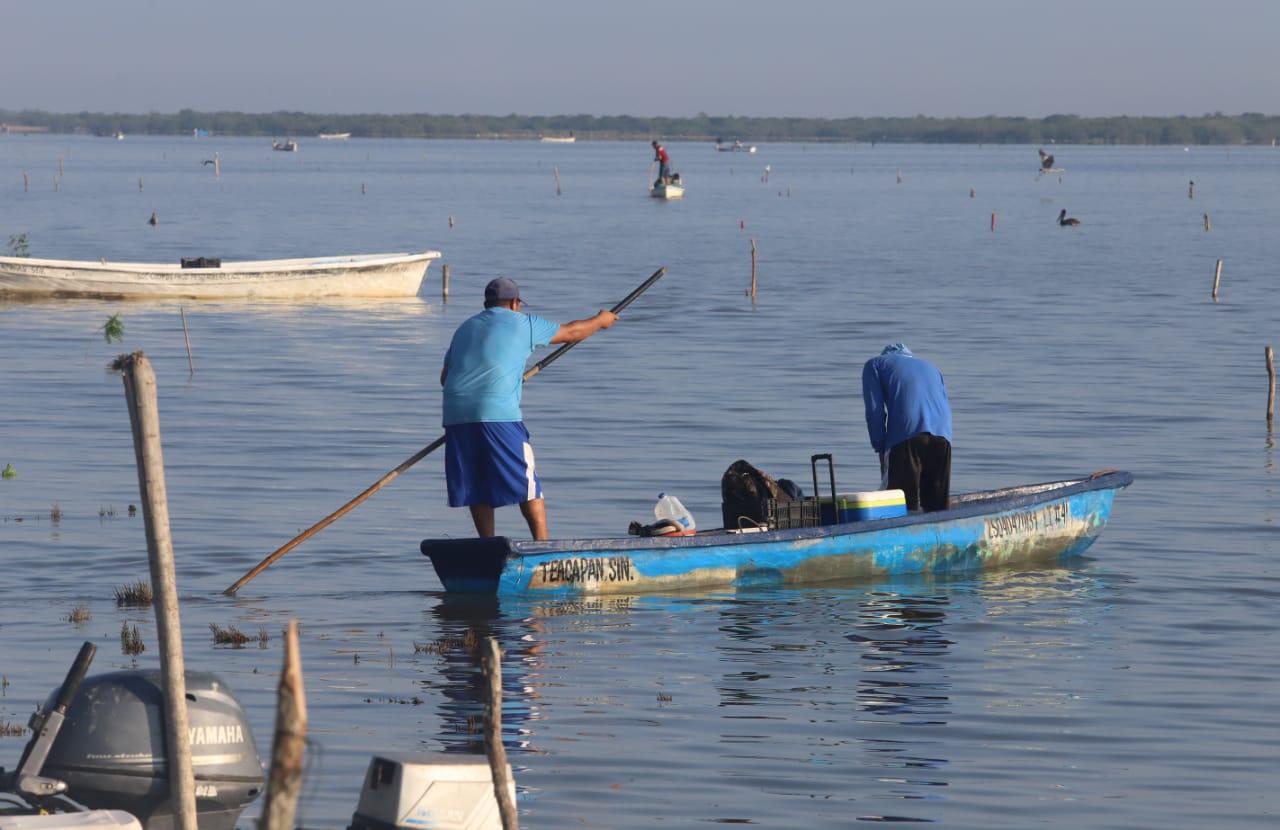 $!Reportan poca captura en el primer día de pesca del camarón