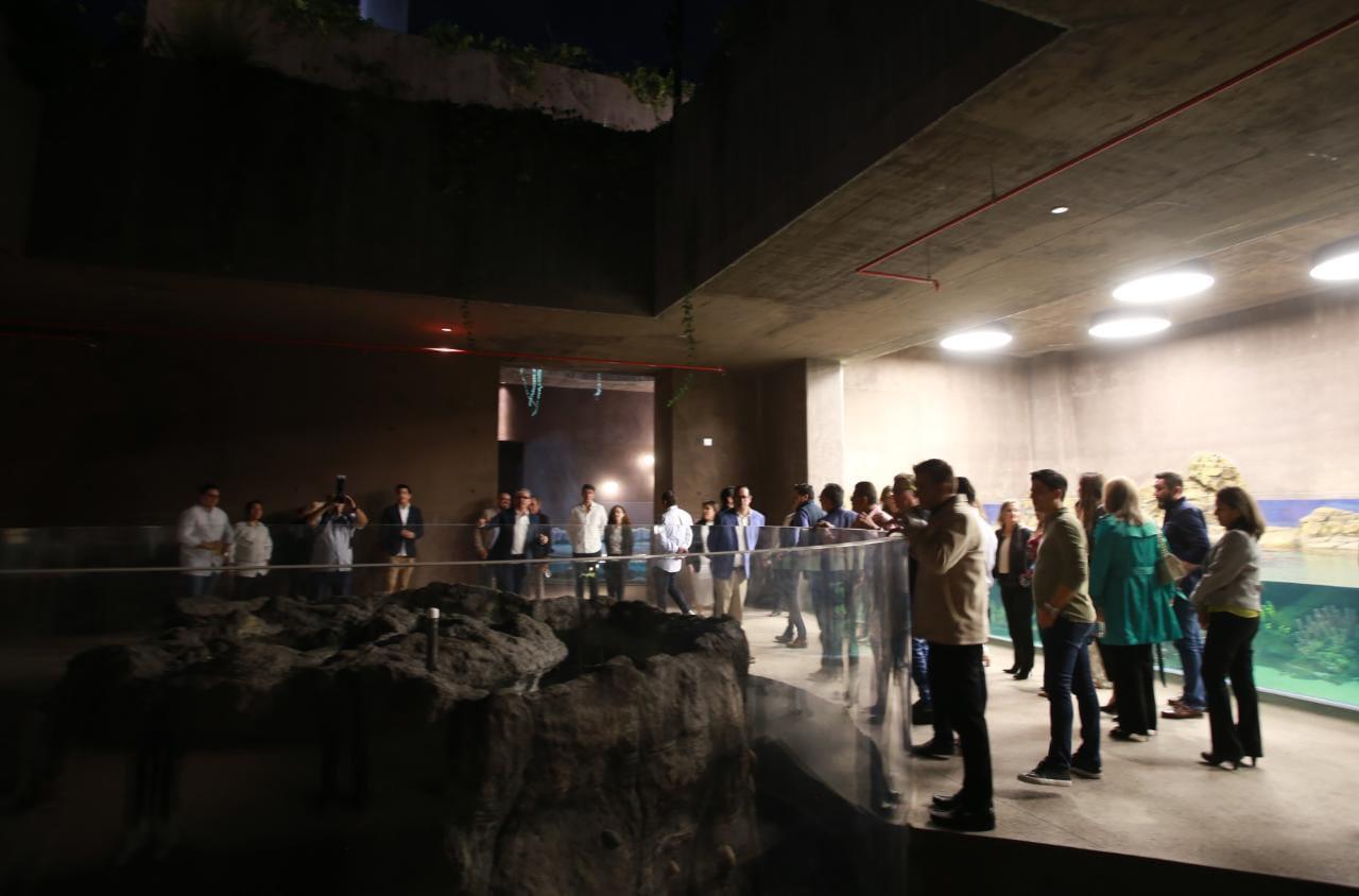 $!Presenta Datemex documental de cómo se hace un acuario de primer mundo