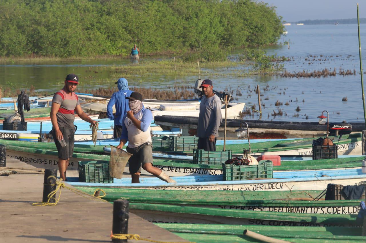 $!Reportan poca captura en el primer día de pesca del camarón