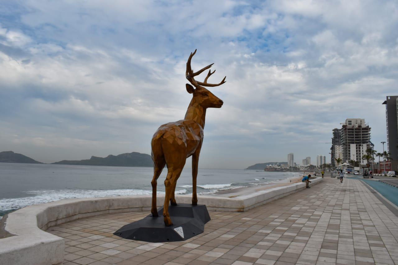 $!Atrae venado en el malecón de Mazatlán a turistas y locales
