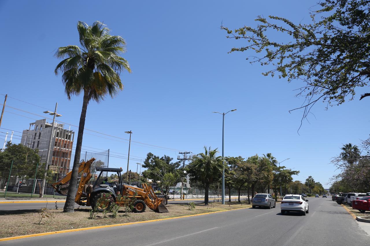 $!Embellecerán la avenida Leonismo, en Mazatlán