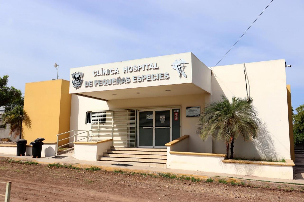 $!Ofrece Facultad de Veterinaria de la UAS atención a perros y gatos en Culiacán