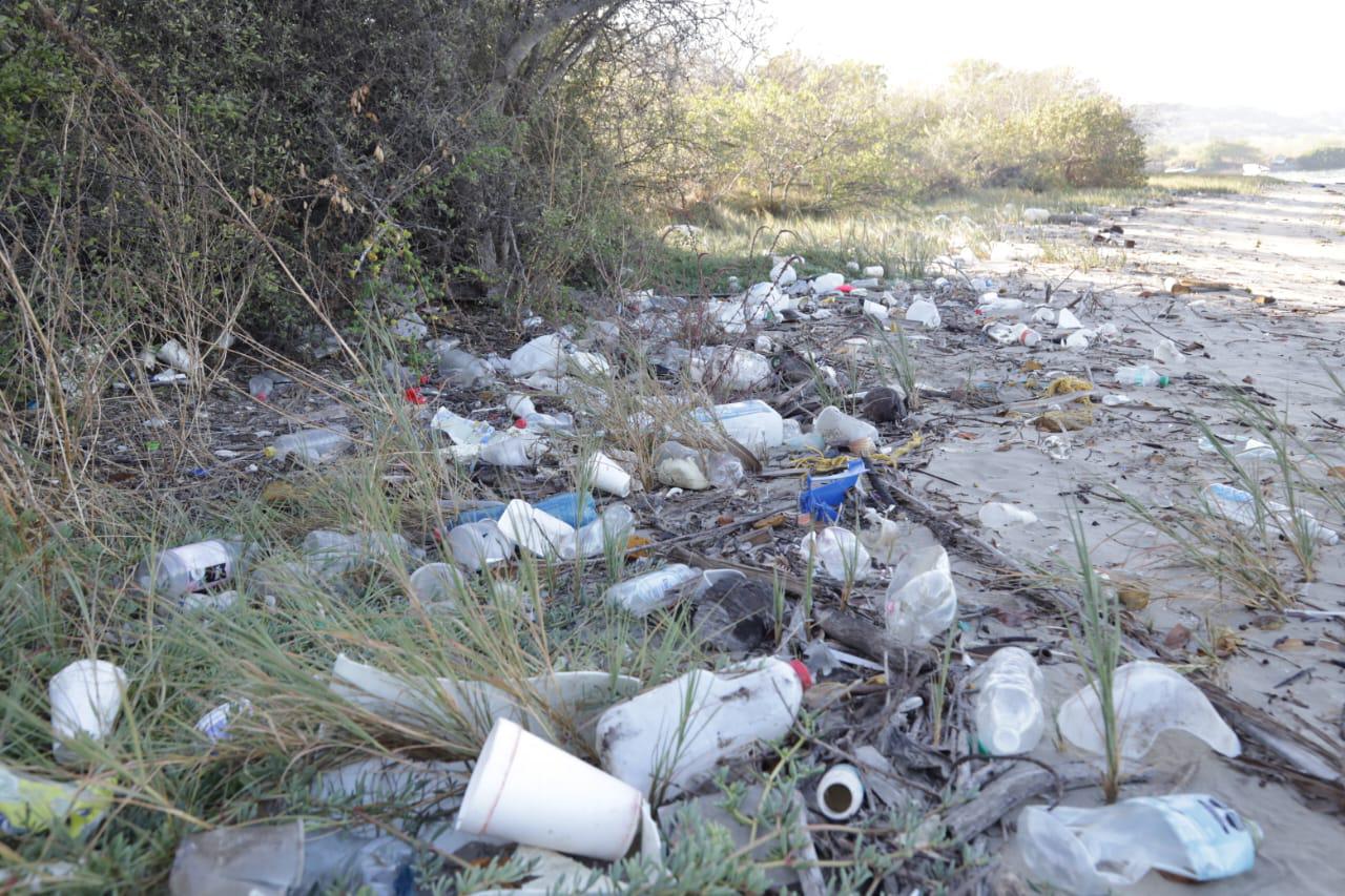 $!Realiza Colectivo MazConCiencia limpieza masiva en el manglar de la Isla de la Piedra