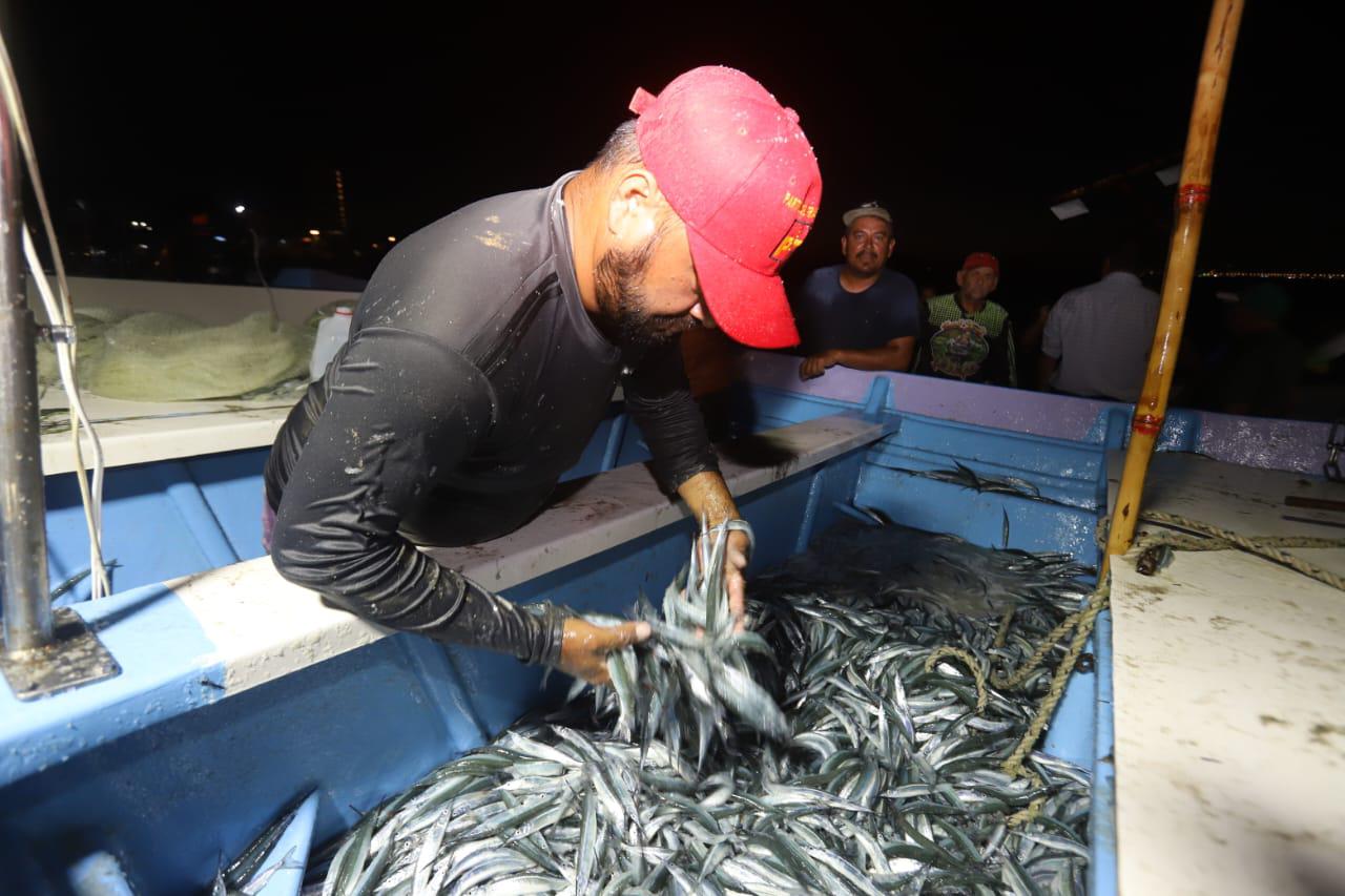 $!Regresa la pesca de pajaritos a Mazatlán