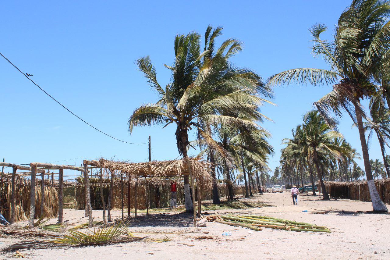 $!Construir enramadas, un proceso que dura medio año