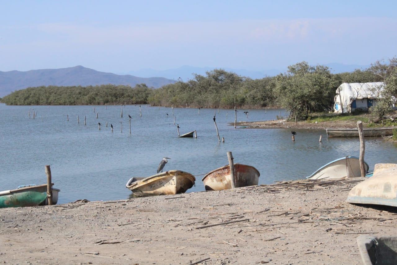 $!En El Caimanero, Rosario, pescadores acuerdan no ingresar al no haber camarón de acuerdo a muestreos