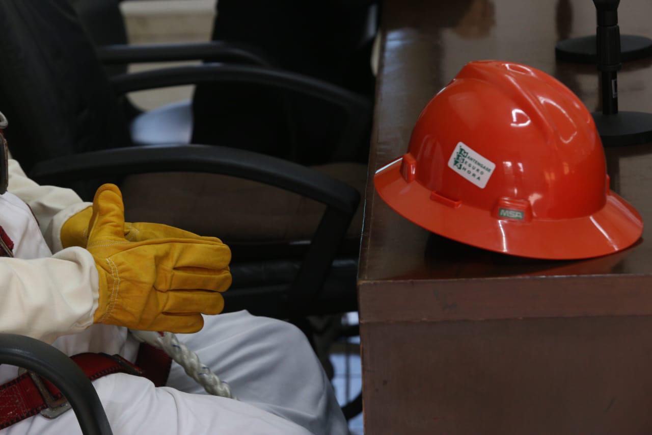 $!Mazatlán protege y rescata a las abejas; llaman a no hacerles daño
