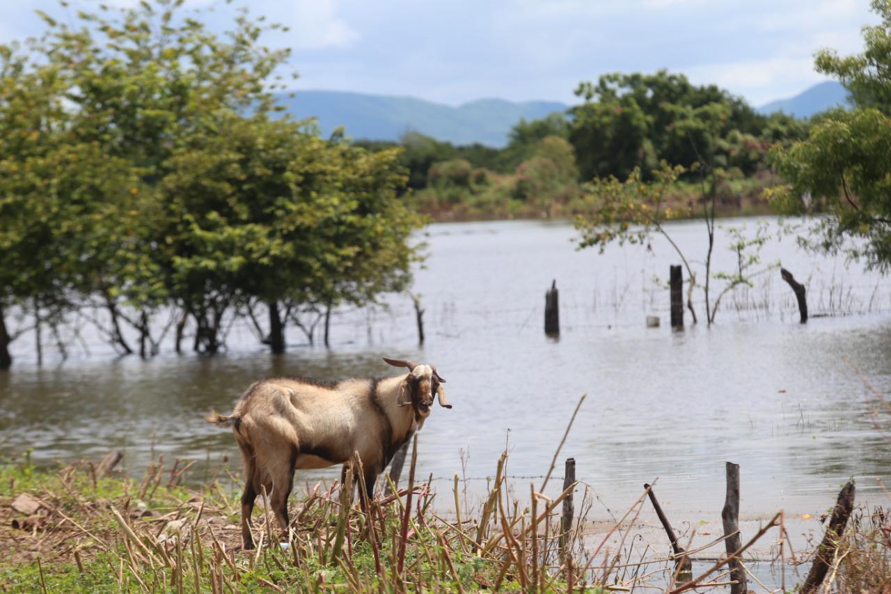 $!Fotos: Noroeste/Rafael Villalba