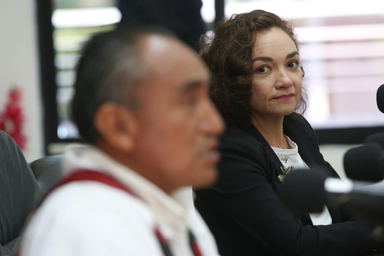 $!Mazatlán protege y rescata a las abejas; llaman a no hacerles daño