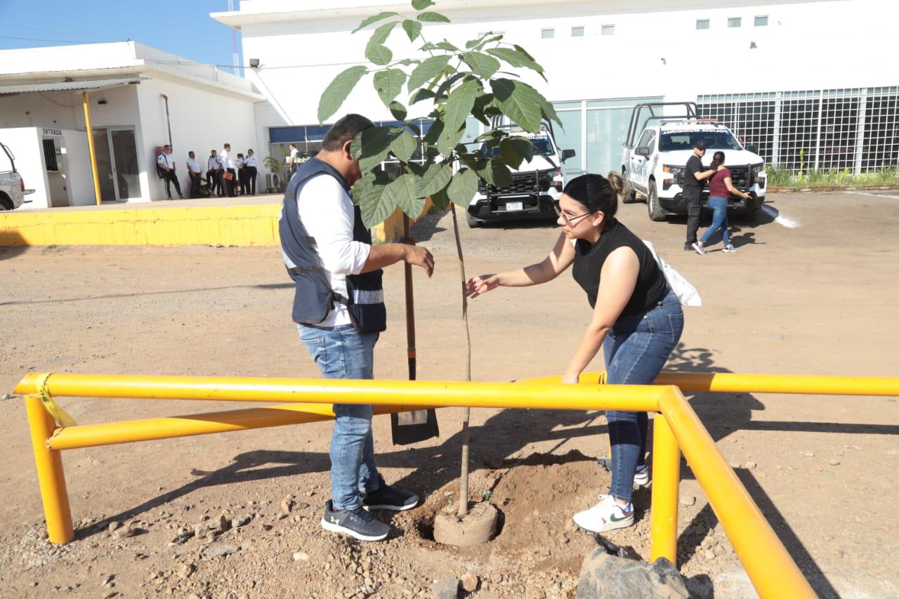 $!Programa ‘Flor Nativa’ planta 30 arbolitos en el Centro de Seguridad Ciudadana de Mazatlán