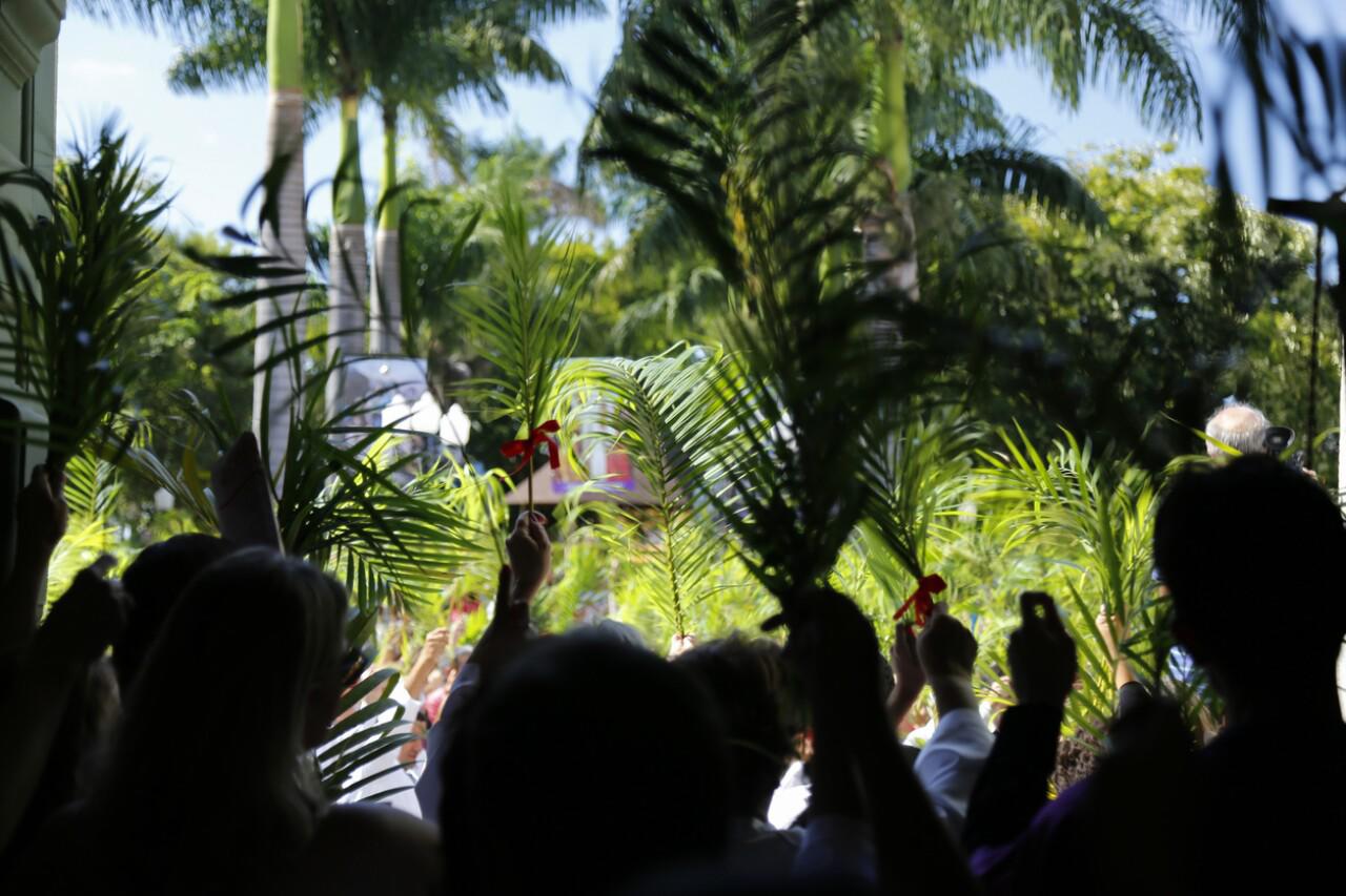 $!Domingo de Ramos.