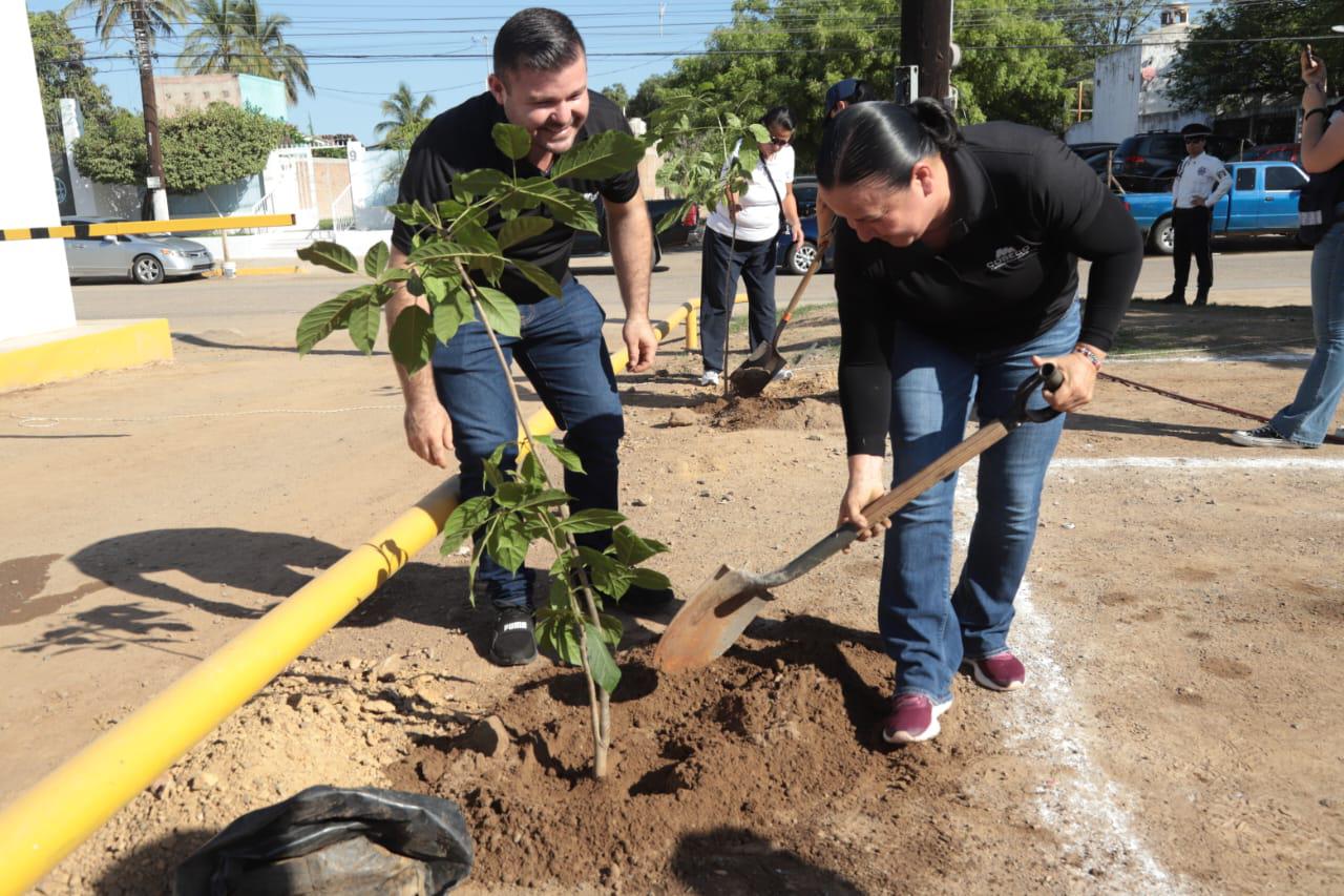 $!Programa ‘Flor Nativa’ planta 30 arbolitos en el Centro de Seguridad Ciudadana de Mazatlán
