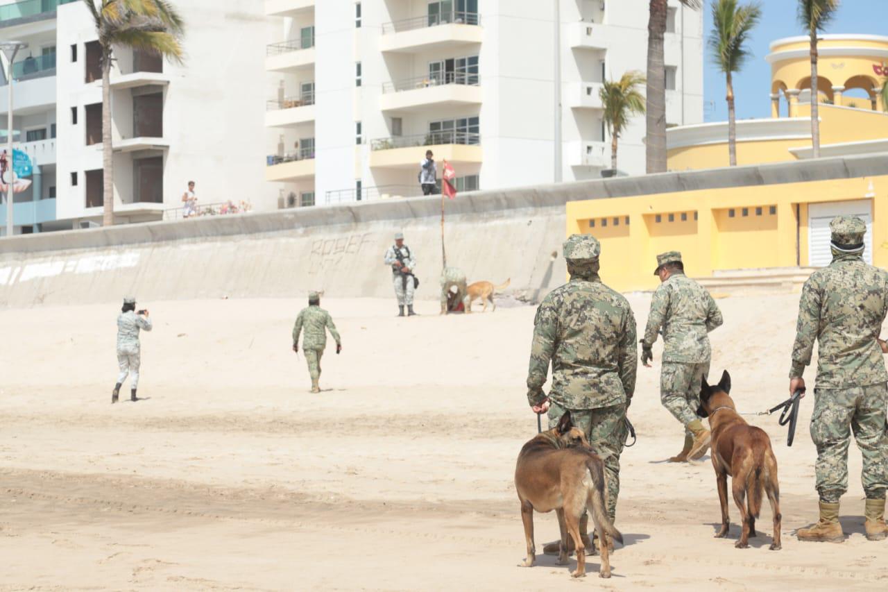 $!Realizan militares operativo de búsqueda con perros entrenados en playa de Mazatlán