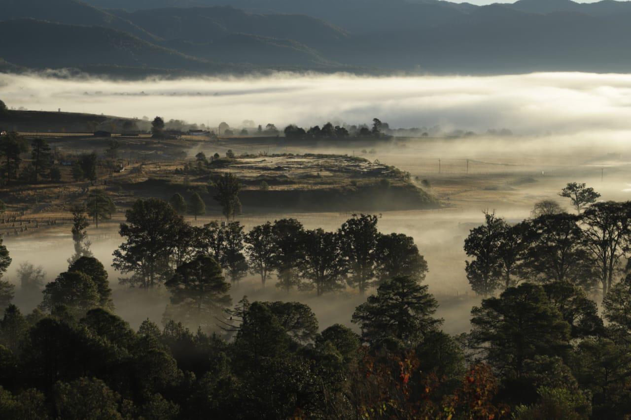 $!Escarcha y temperaturas bajo cero se registra en sierra de Durango