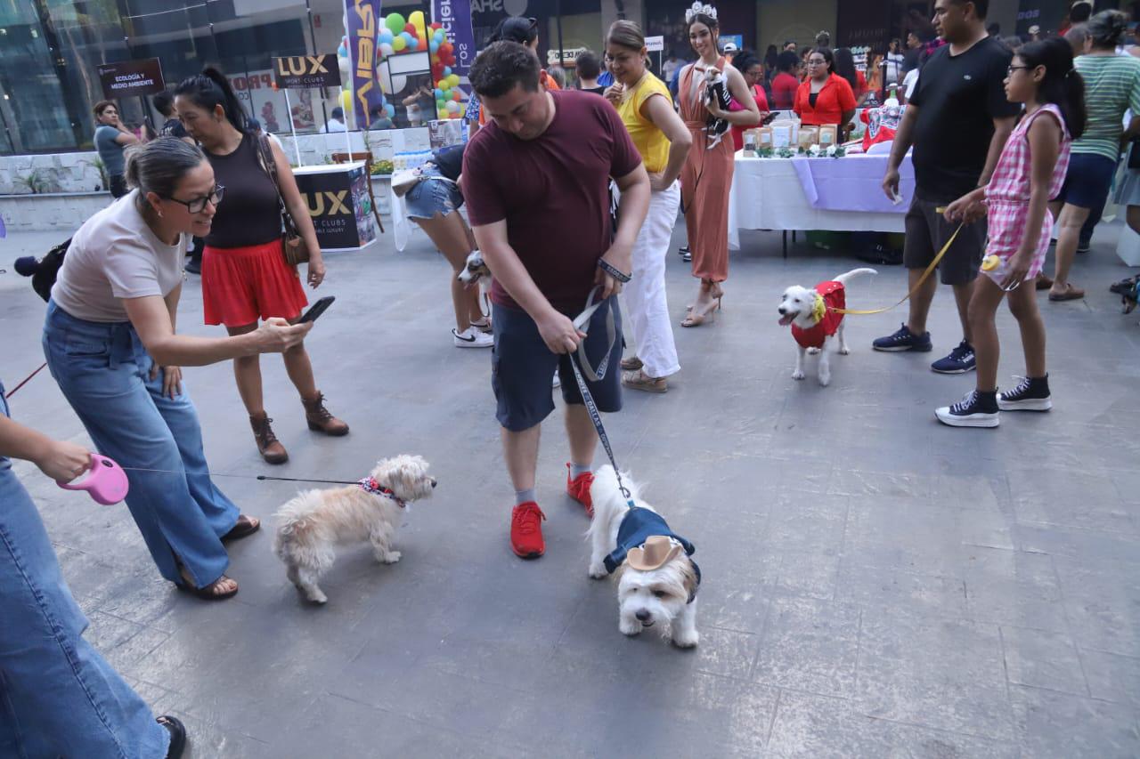 $!Participan ‘lomitos’ disfrazados en concurso y desfile de modas, en Mazatlán