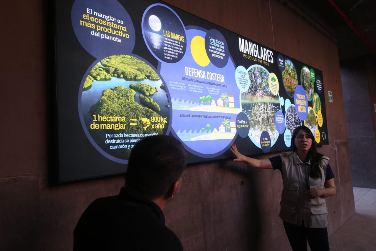 $!‘Emerge del océano’ Nuevo Acuario Mazatlán Mar de Cortés y muestra su belleza al mundo