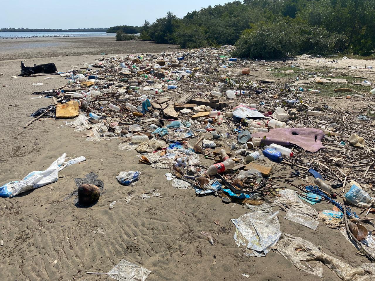 $!Por el amor a la conservación de los oceános, la historia de MazConCiencia continúa...