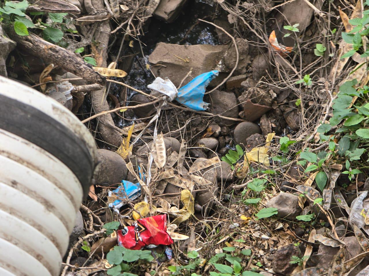 $!Lluvias arrastran basura a la Laguna del Iguanero, en Rosario