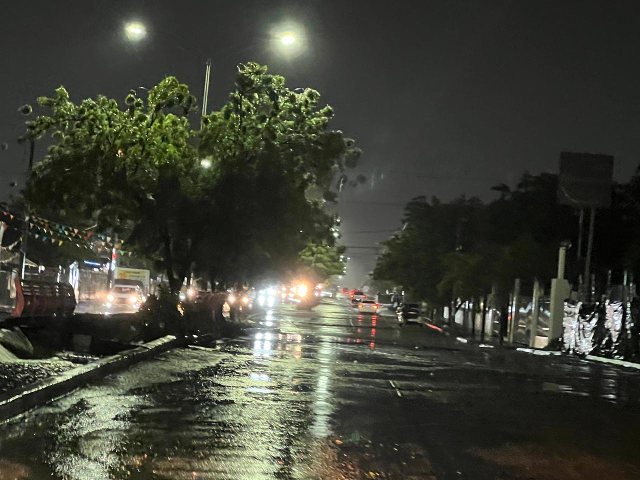 $!Lluvia y vientos fuertes provocan caída de árboles y apagones en Culiacán