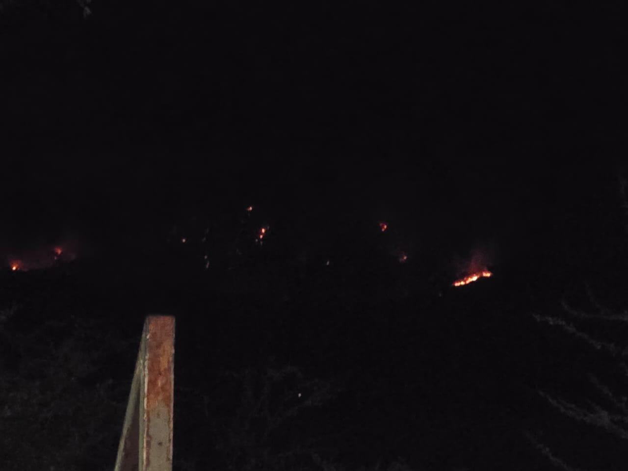 $!Se registra incendio forestal en cerro del Águila en Rosario
