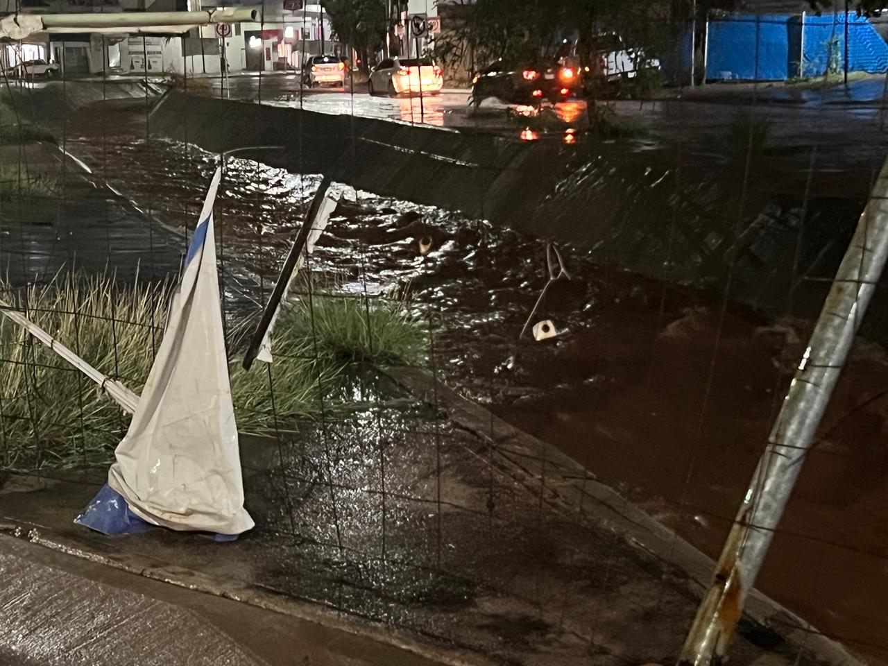 $!Lluvia y vientos fuertes provocan caída de árboles y apagones en Culiacán