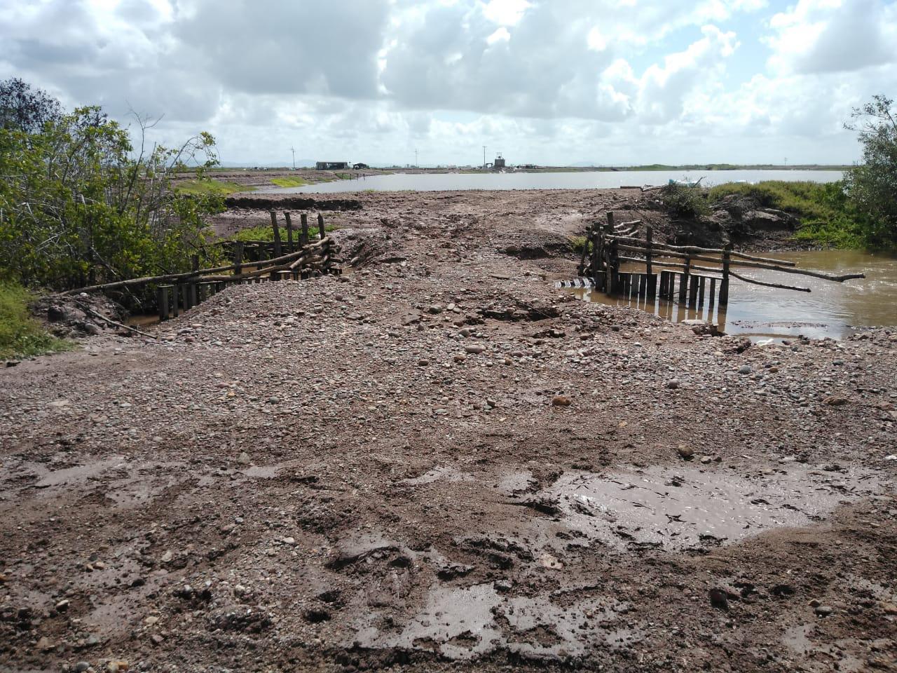 $!‘Nora’ deja daños preliminares por $400 millones en la acuacultura: Coades