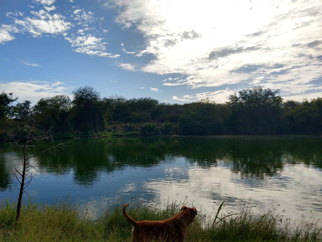 $!En Culiacán, más de mil hectáreas has sido deforestadas en el Cerro 7 gotas, señalan activistas