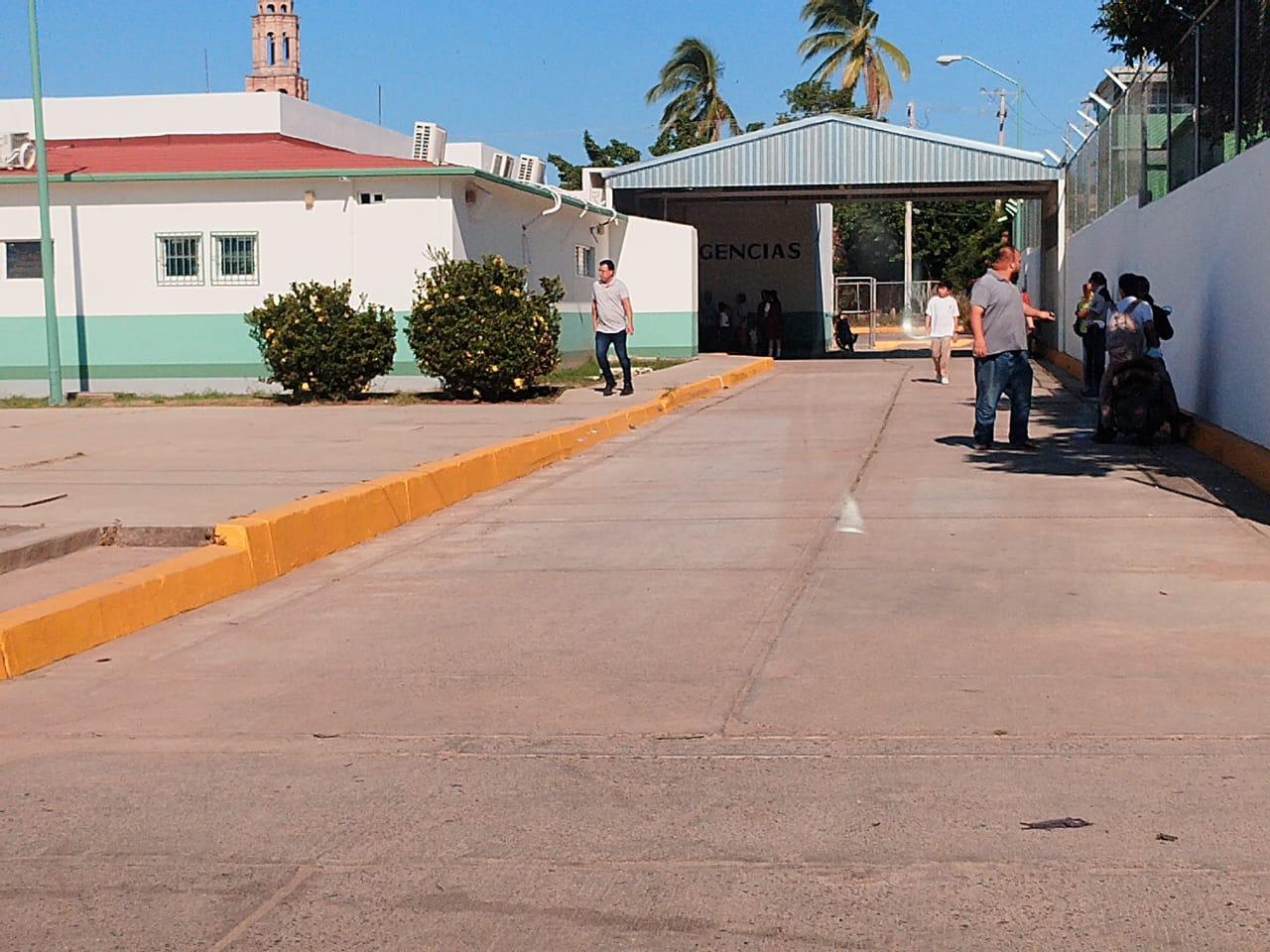 $!Pican abejas a 50 alumnos y 6 maestros en secundaria de El Rosario