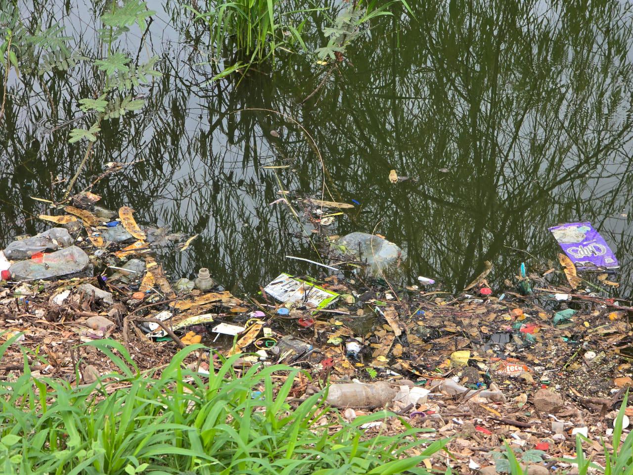 $!Lluvias arrastran basura a la Laguna del Iguanero, en Rosario