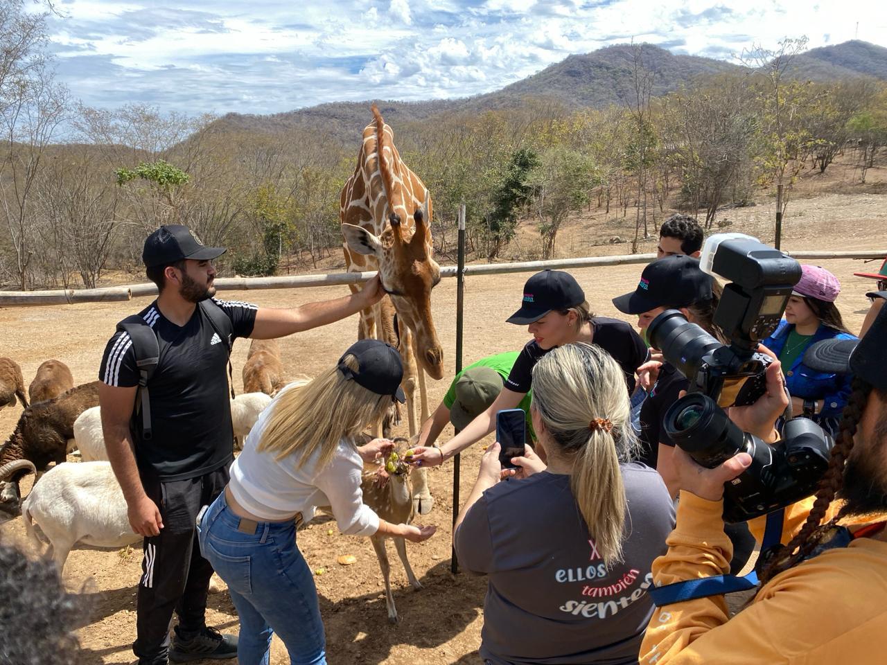 $!Rescata santuario Ostok a más de mil 800 animales del tráfico, violencia y del abandono