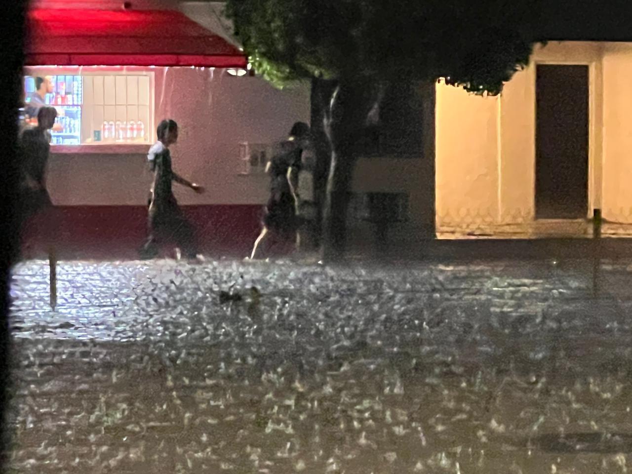 $!Lluvia y vientos fuertes provocan caída de árboles y apagones en Culiacán