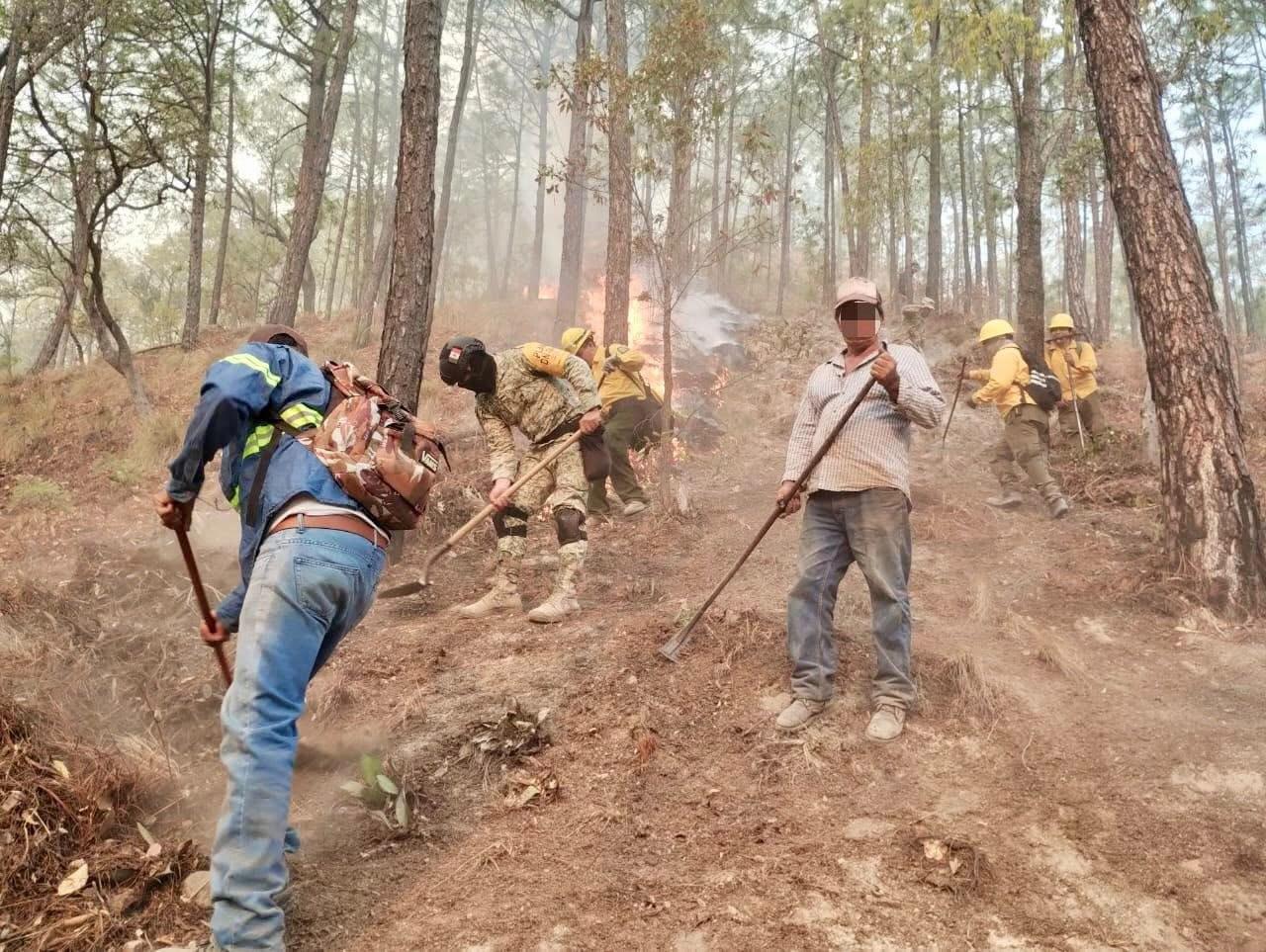 $!Claman ayuda familias desplazadas para proteger reserva de la chara pinta en Concordia