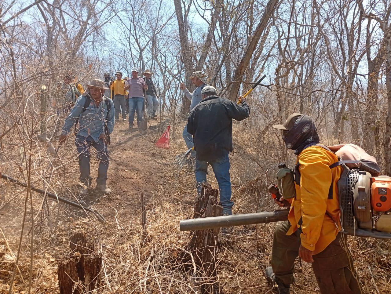 $!Sinaloa es el segundo estado con mayor superficie afectada por incendios forestales