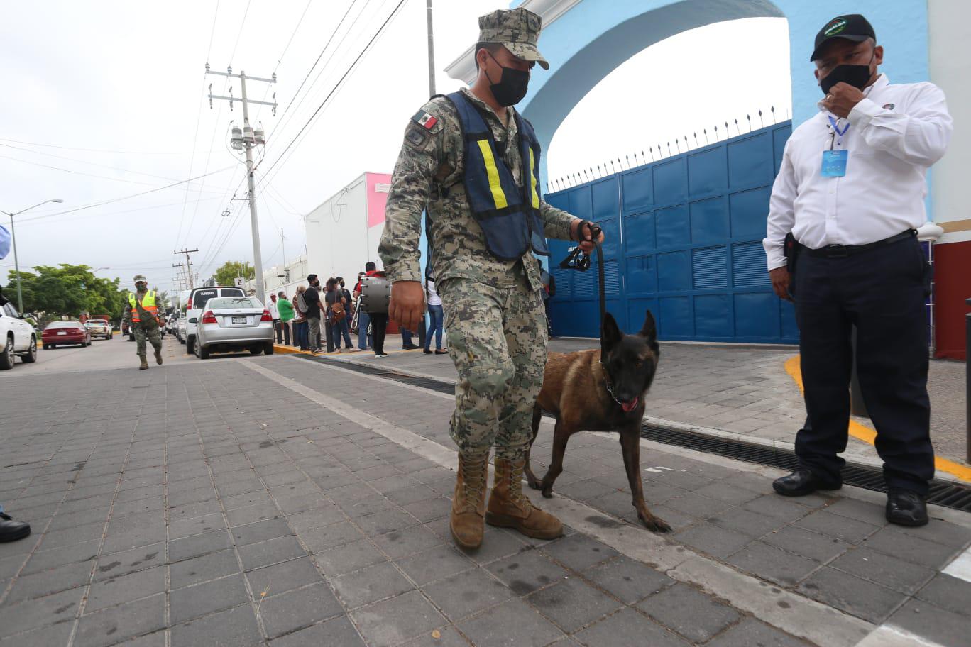 $!Turistas del crucero Carnival Panorama ya recorren Mazatlán
