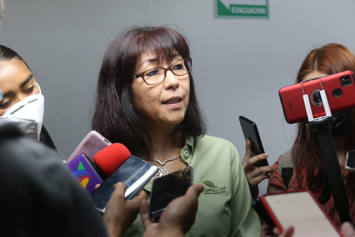 $!Agua turbia durará, al menos, 30 días más en Mazatlán: Jumapam