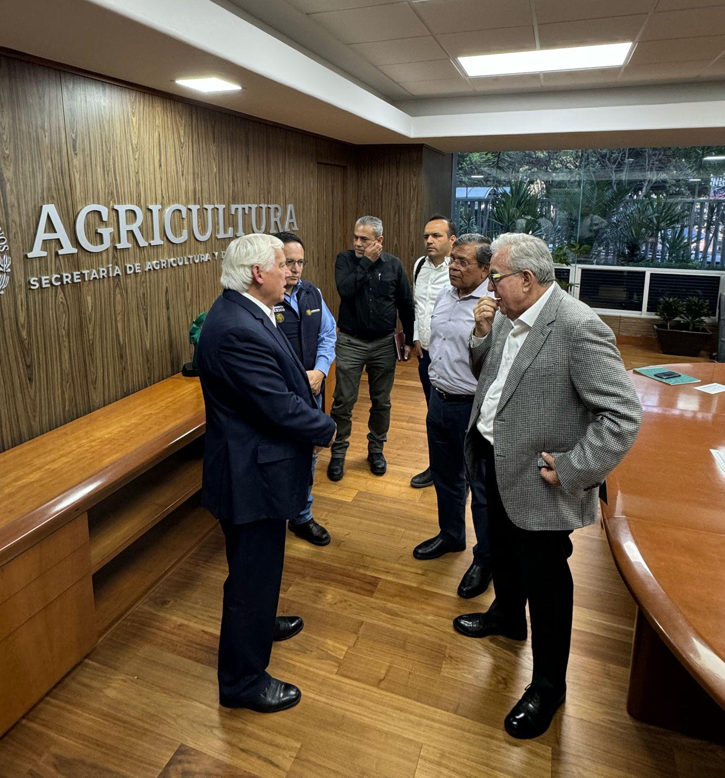 $!Queda maíz blanco en 5 mil 457 pesos por tonelada para todos los productores en Sinaloa