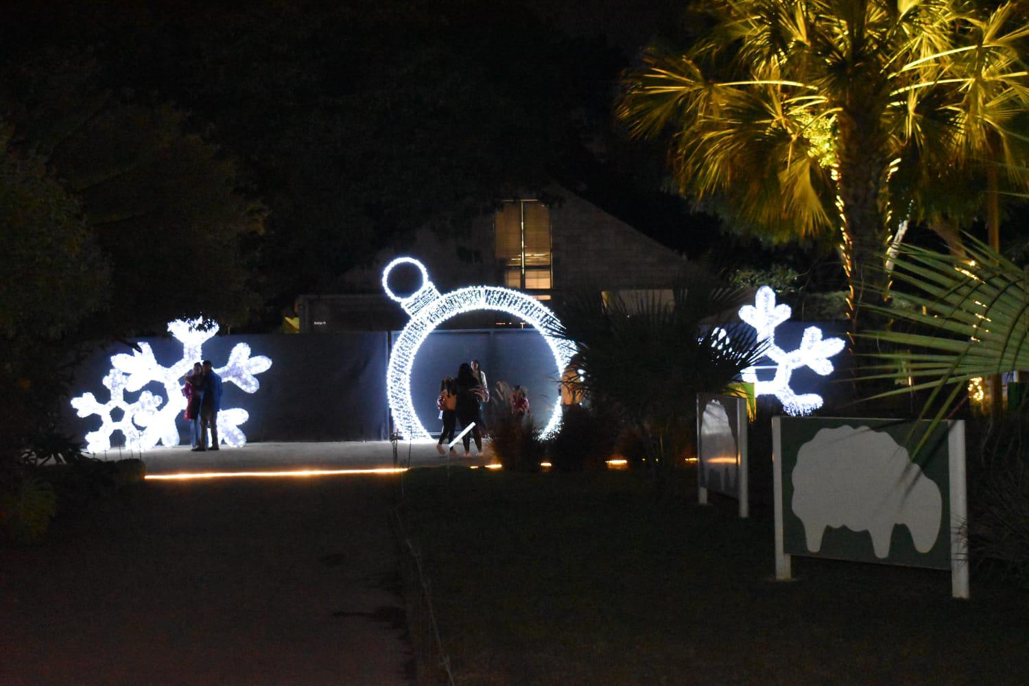 $!Encienden las luces y llega la magia de la Navidad al Botánico