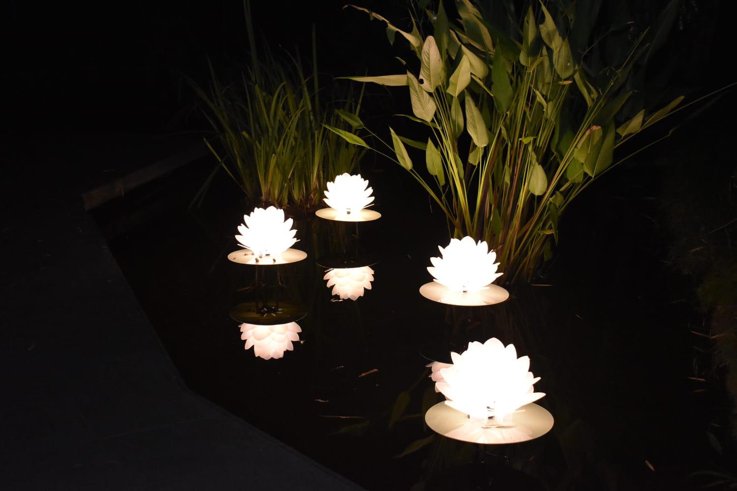 $!Encienden las luces y llega la magia de la Navidad al Botánico