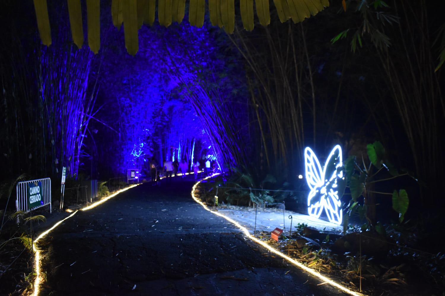$!Encienden las luces y llega la magia de la Navidad al Botánico