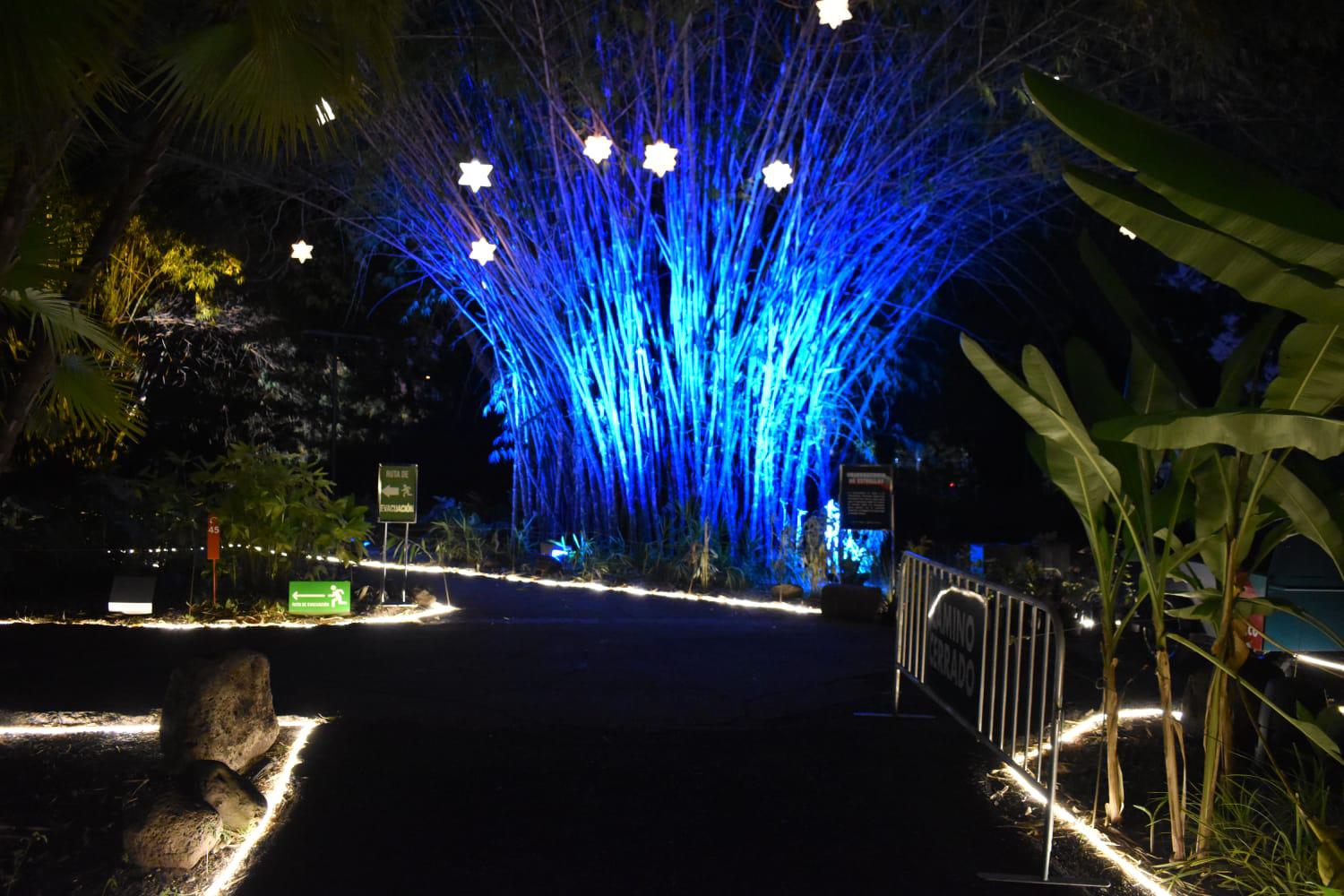 $!Encienden las luces y llega la magia de la Navidad al Botánico