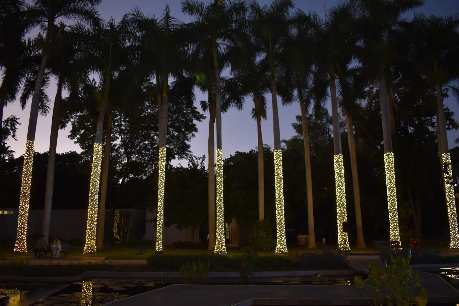 $!Encienden las luces y llega la magia de la Navidad al Botánico
