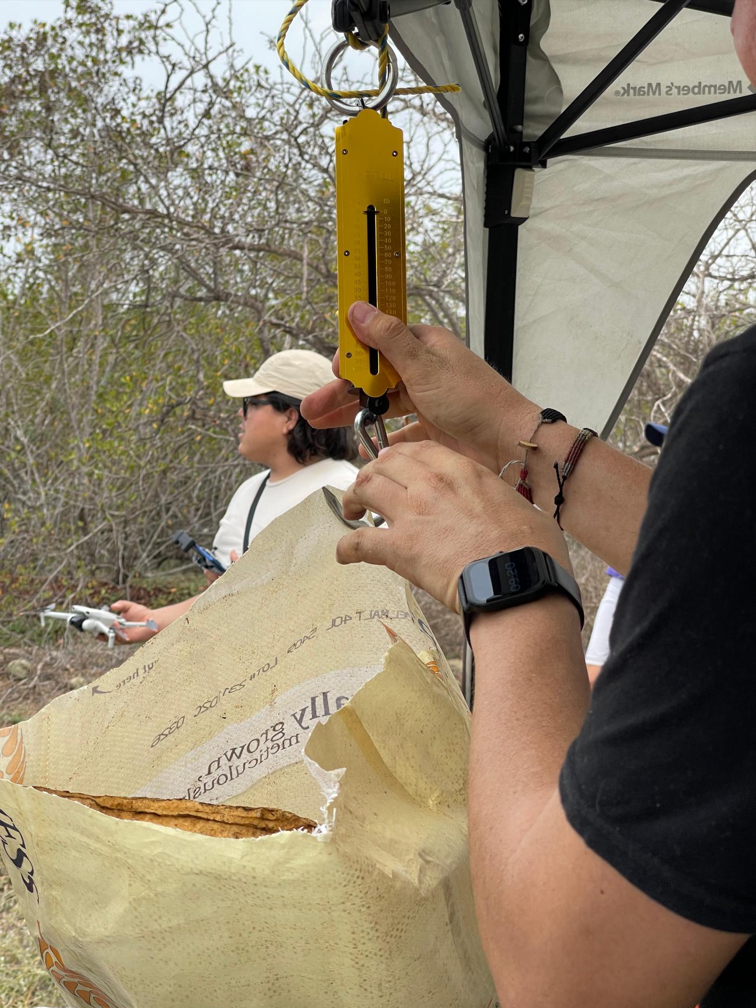 $!Recolectan 750 kilogramos de desechos en isla en canal de navegación, en Mazatlán