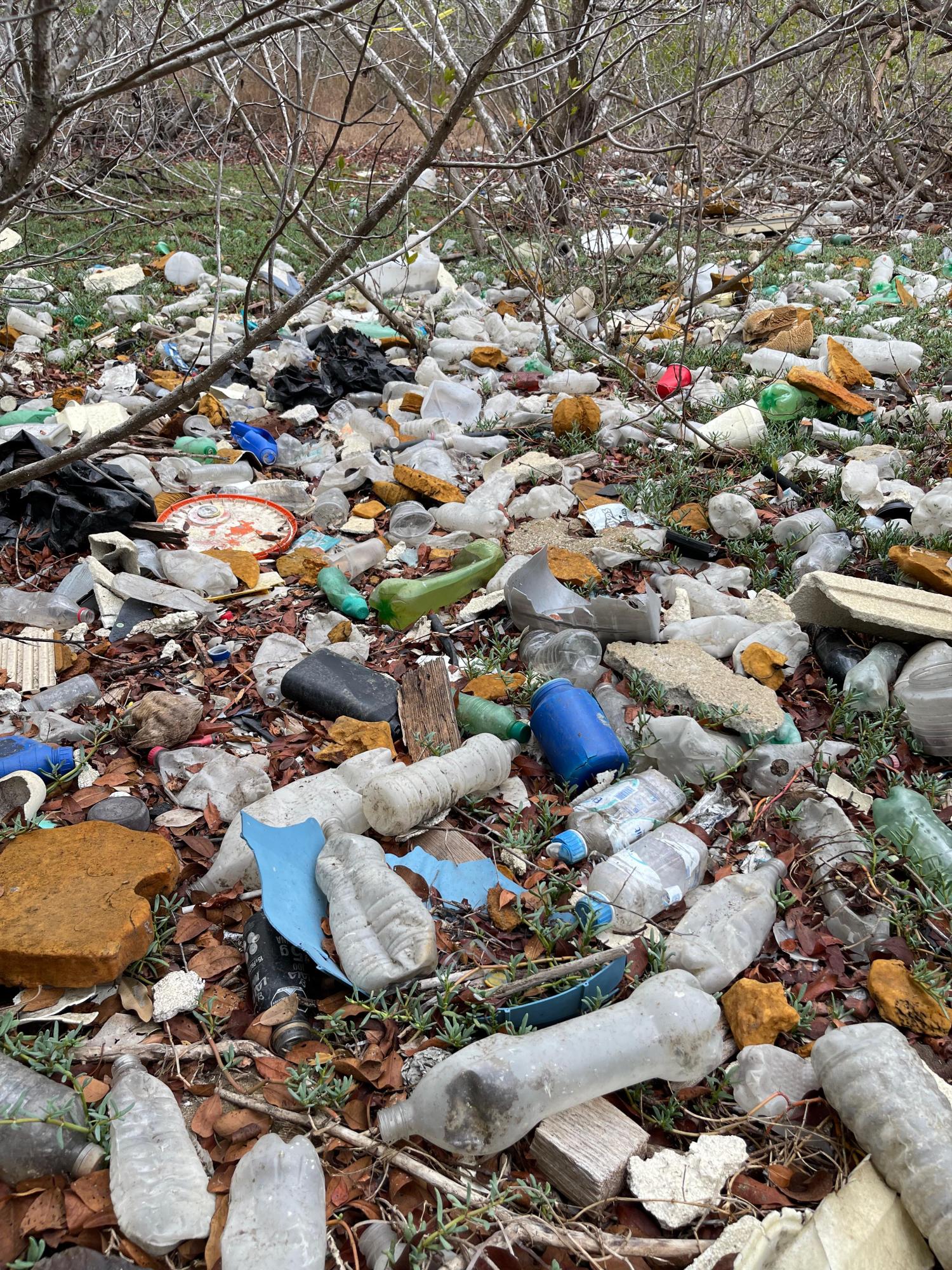 $!Recolectan 750 kilogramos de desechos en isla en canal de navegación, en Mazatlán