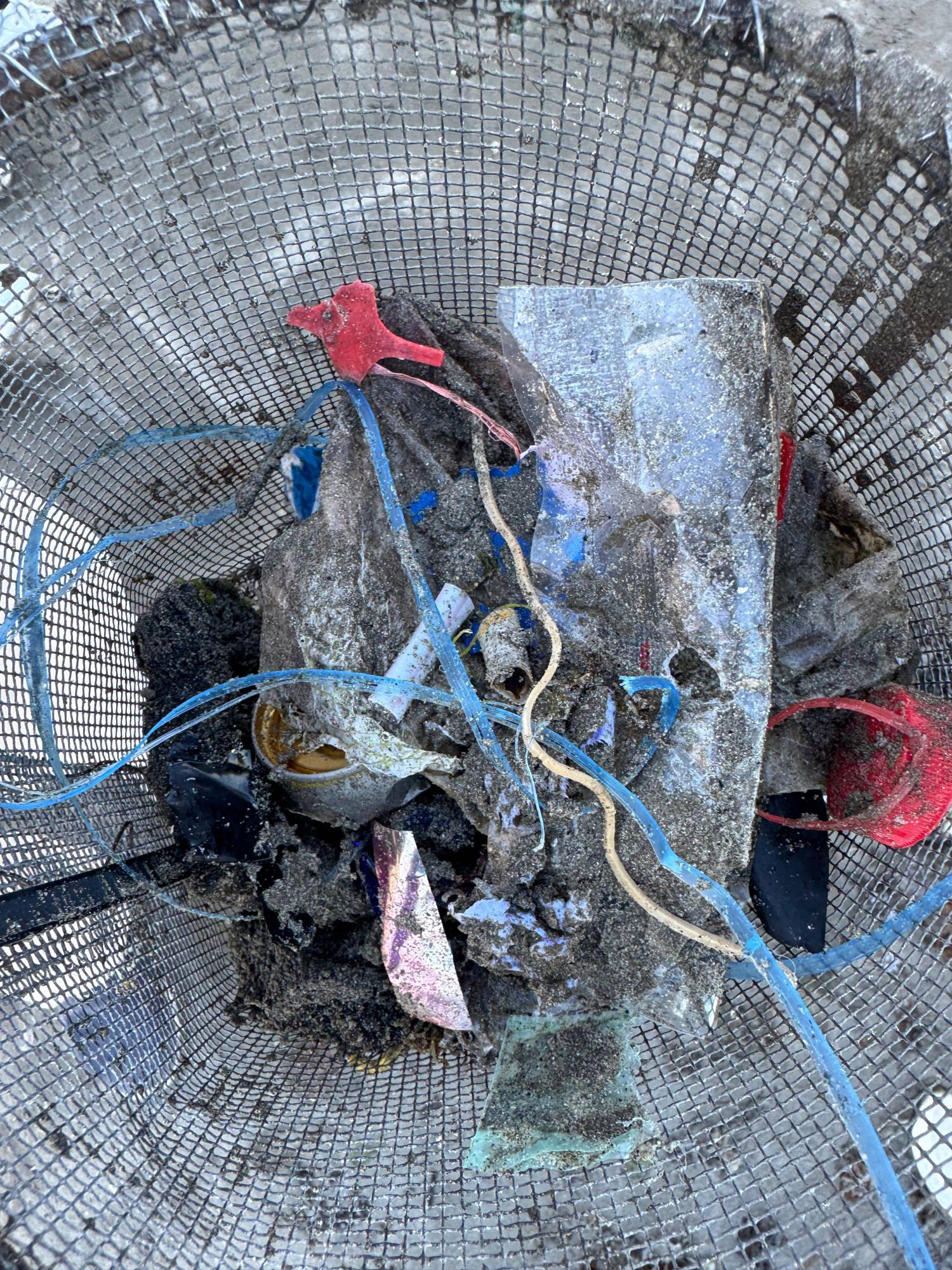 $!Continúa MazConCiencia con labores de limpieza por distintas zonas de Mazatlán