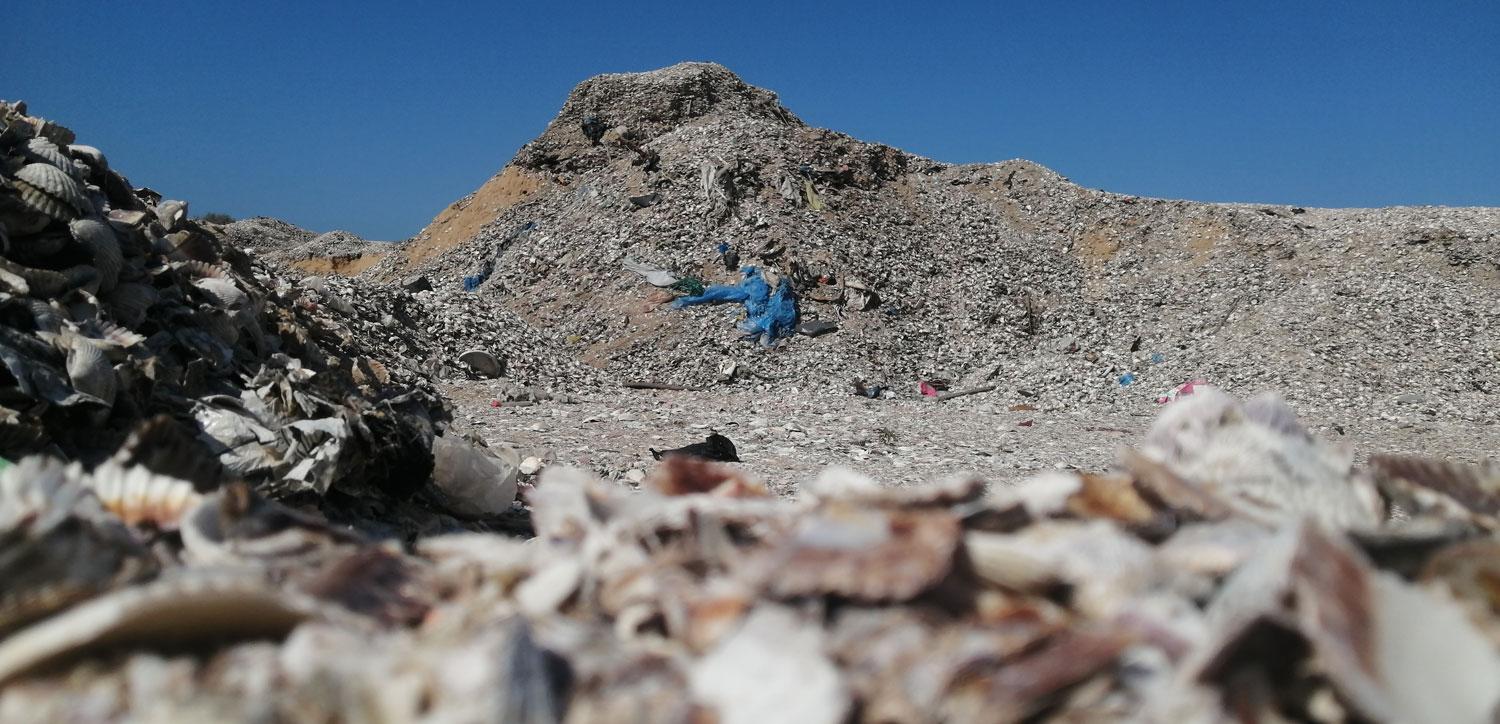 $!Tiraderos a cielo abierto contaminan Áreas Naturales Protegidas de Baja California Sur